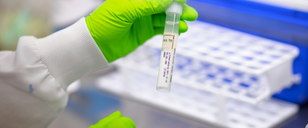 Hands in a laboratory holding a sample in a test tube